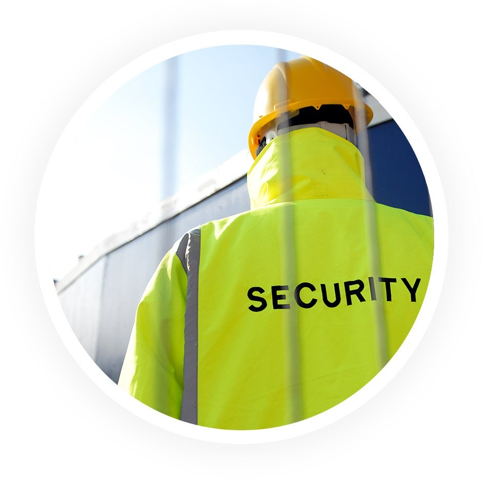 Security Professional